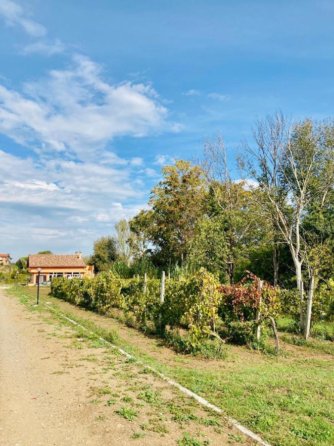 Villa Bubu, Appartamento Country-Chic โรม ภายนอก รูปภาพ