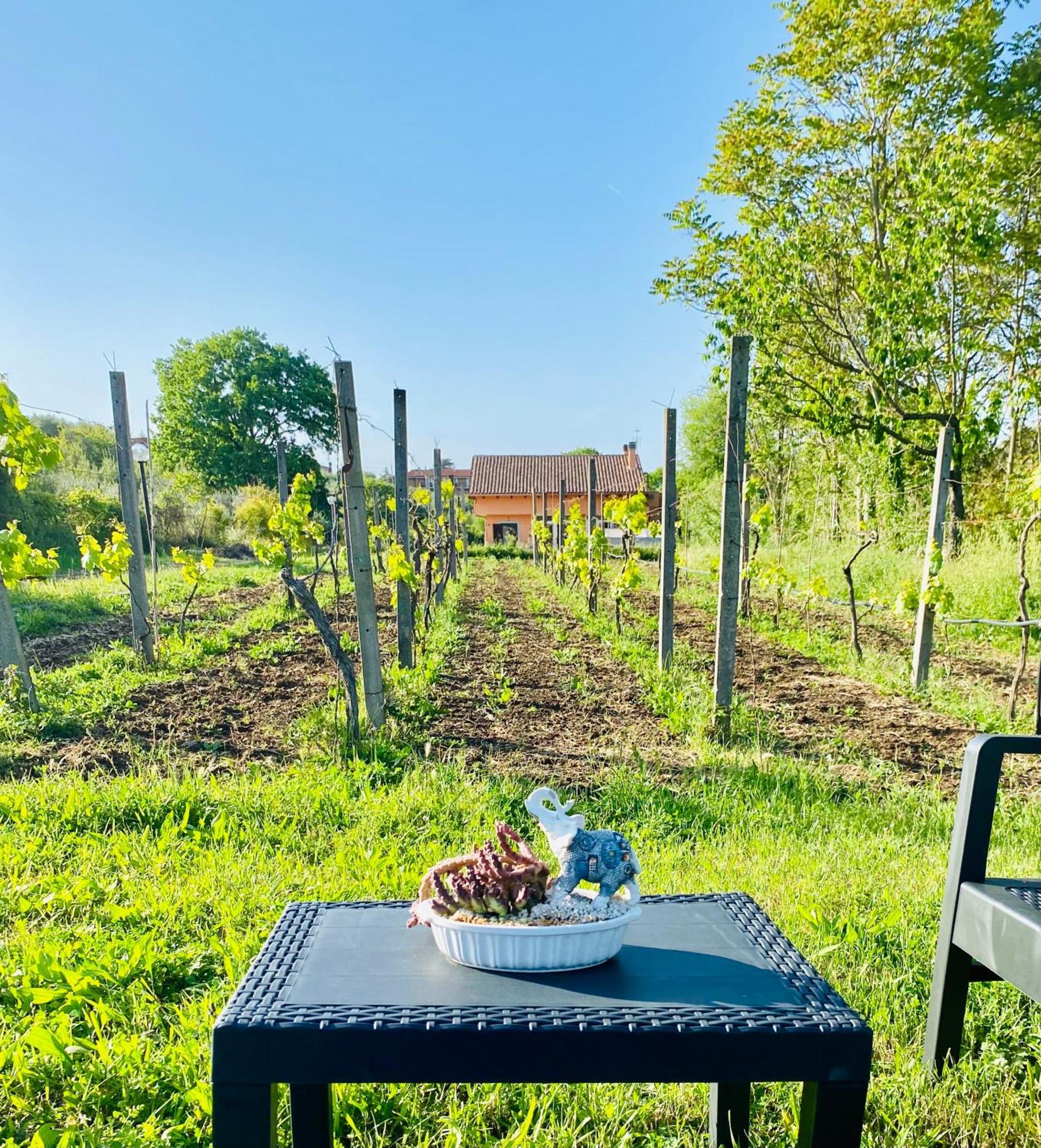 Villa Bubu, Appartamento Country-Chic โรม ภายนอก รูปภาพ