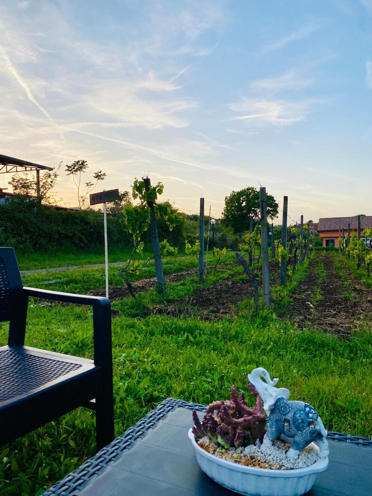 Villa Bubu, Appartamento Country-Chic โรม ภายนอก รูปภาพ